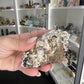 Mexican Agate Geode