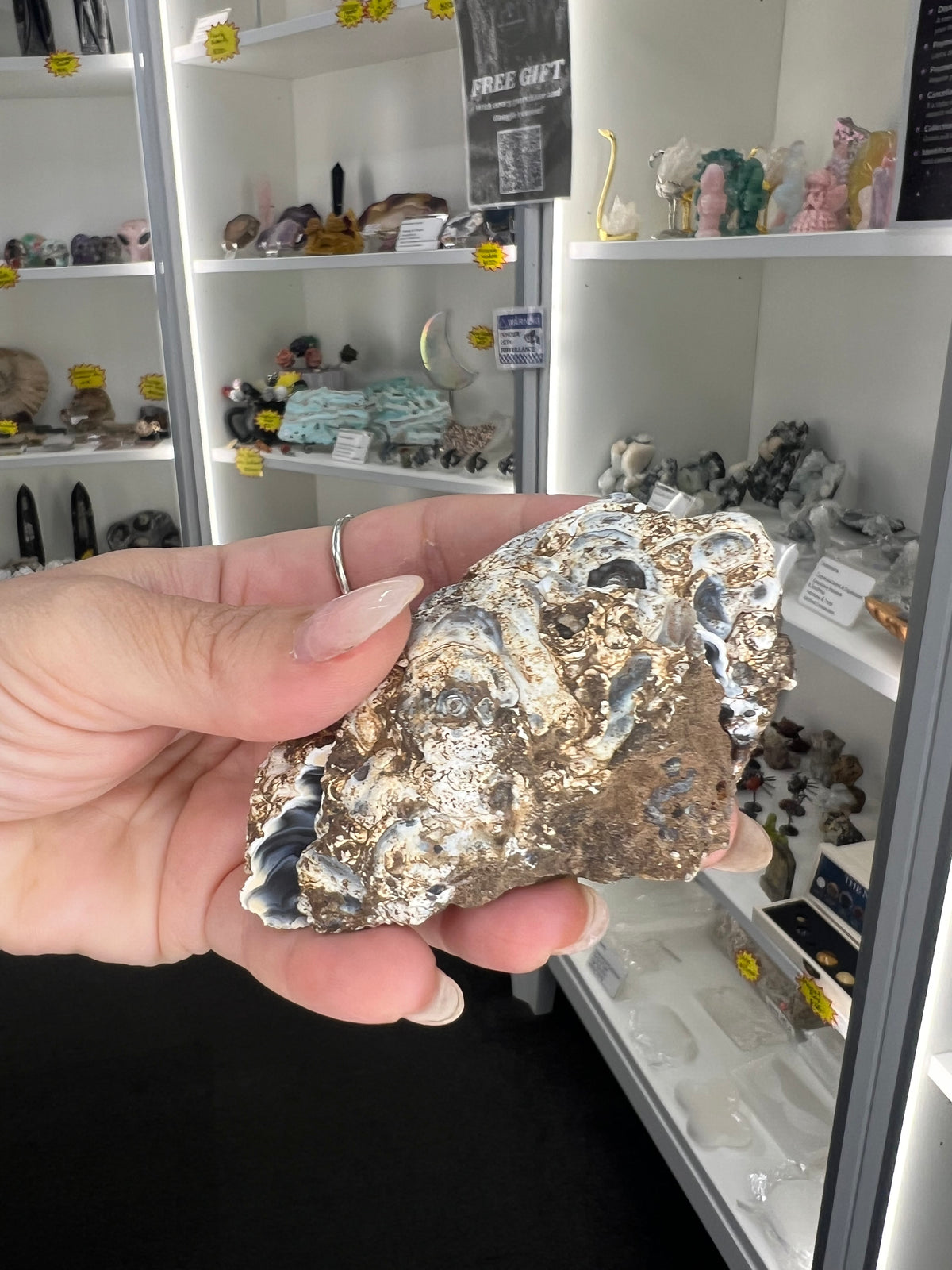 Mexican Agate Geode