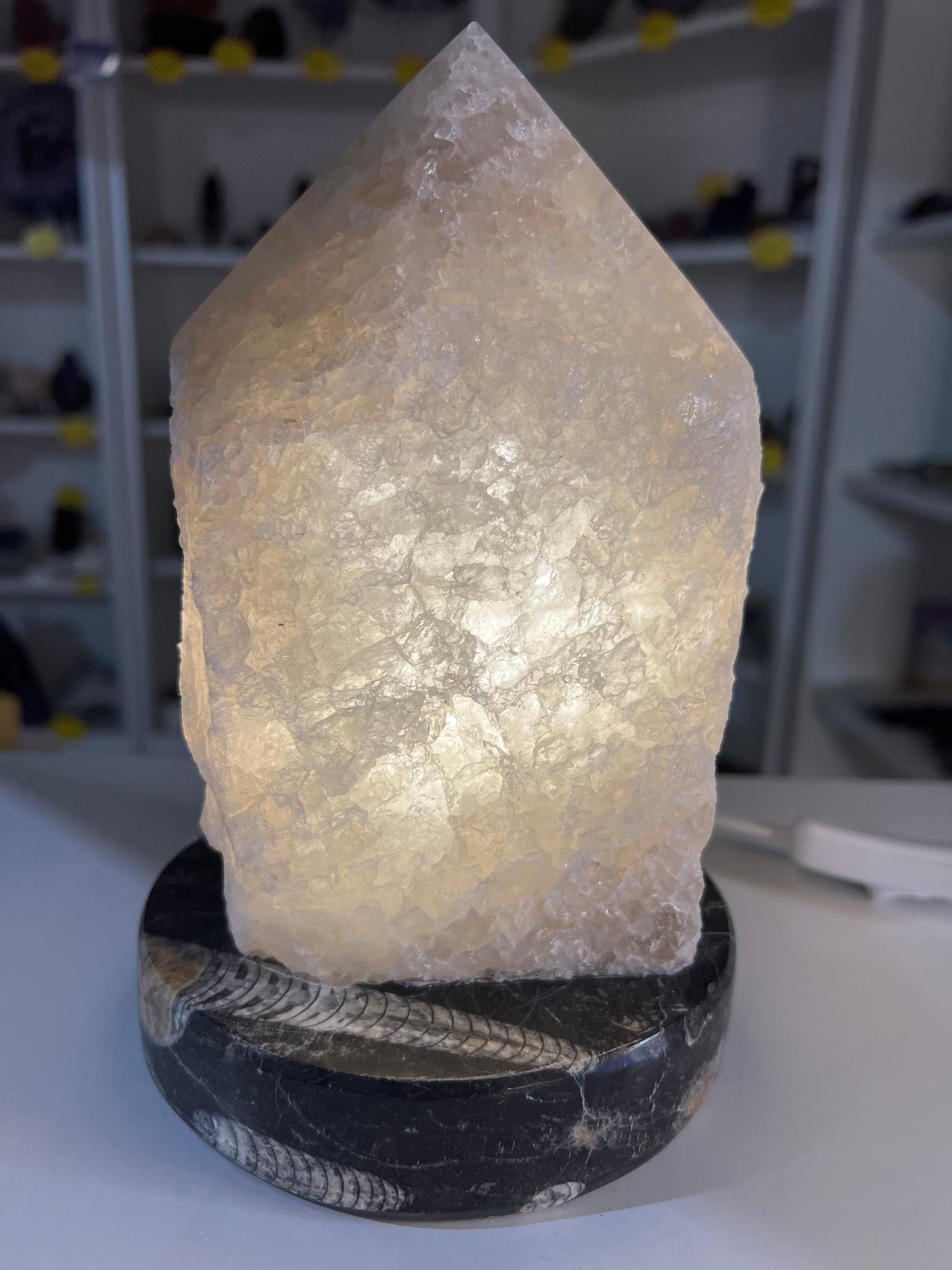 Smoky Quartz Point Lamp on Fossil Orthoceras Base
