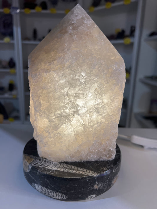 Smoky Quartz Point Lamp on Fossil Orthoceras Base