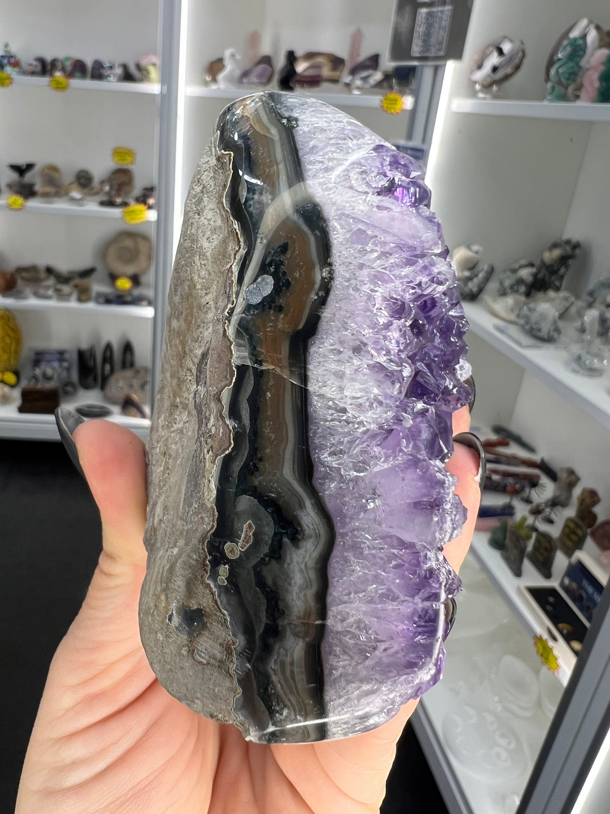 Amethyst Cluster Specimen