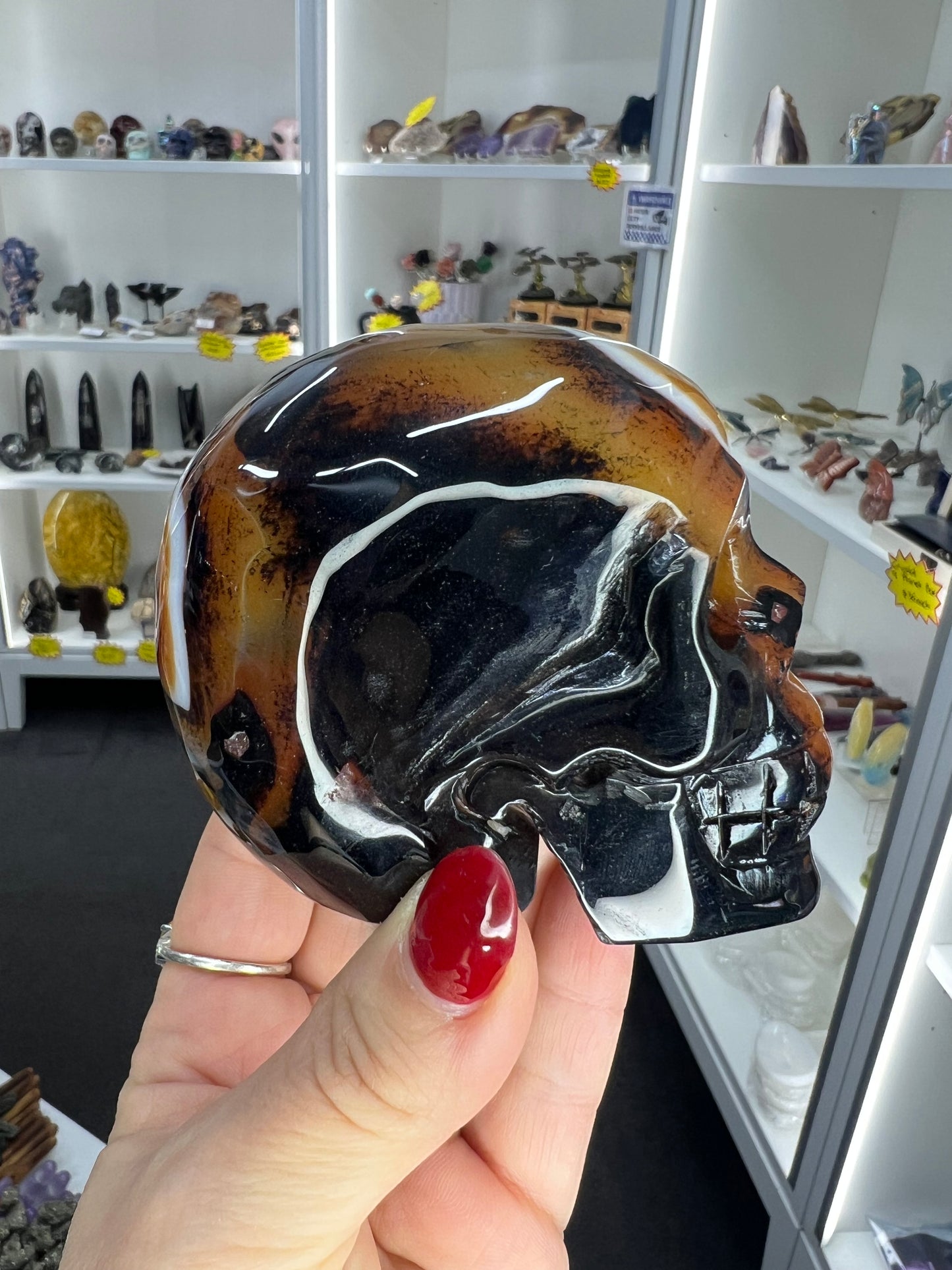 Sardonyx Skull