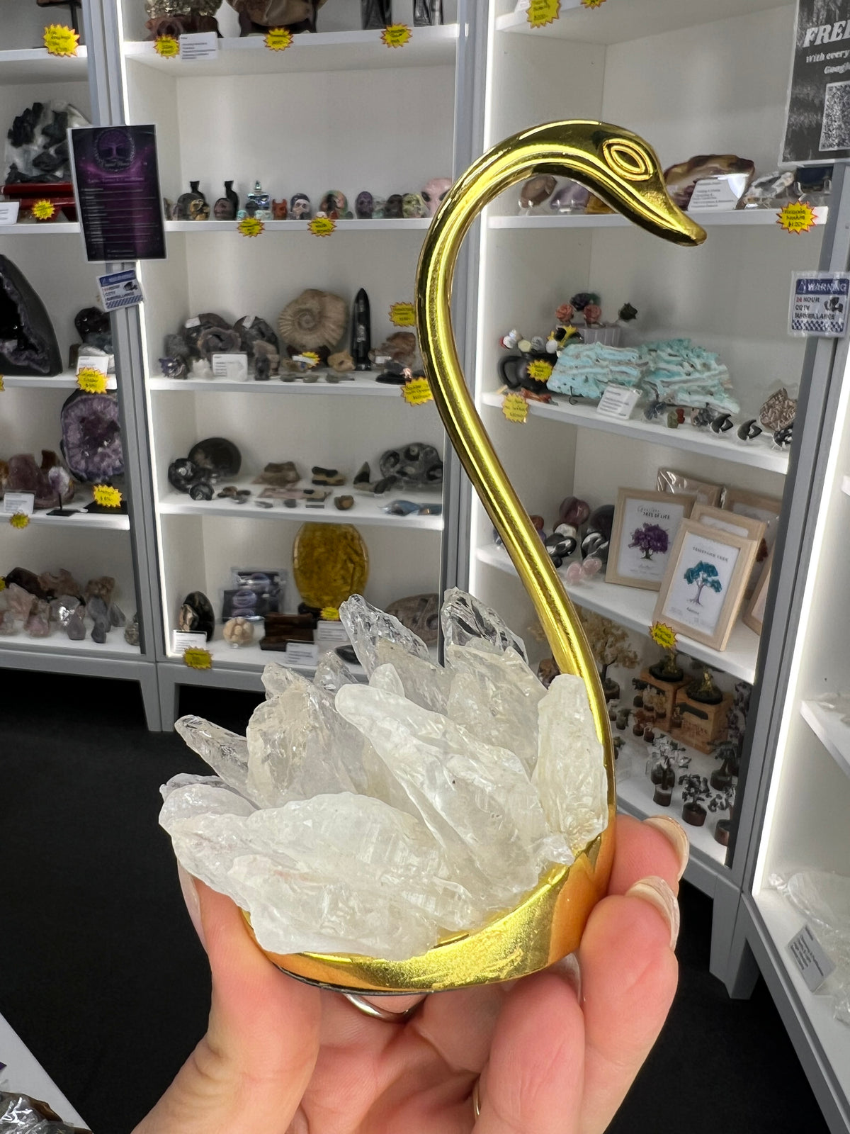 Clear Quartz Cluster on Gold Swan