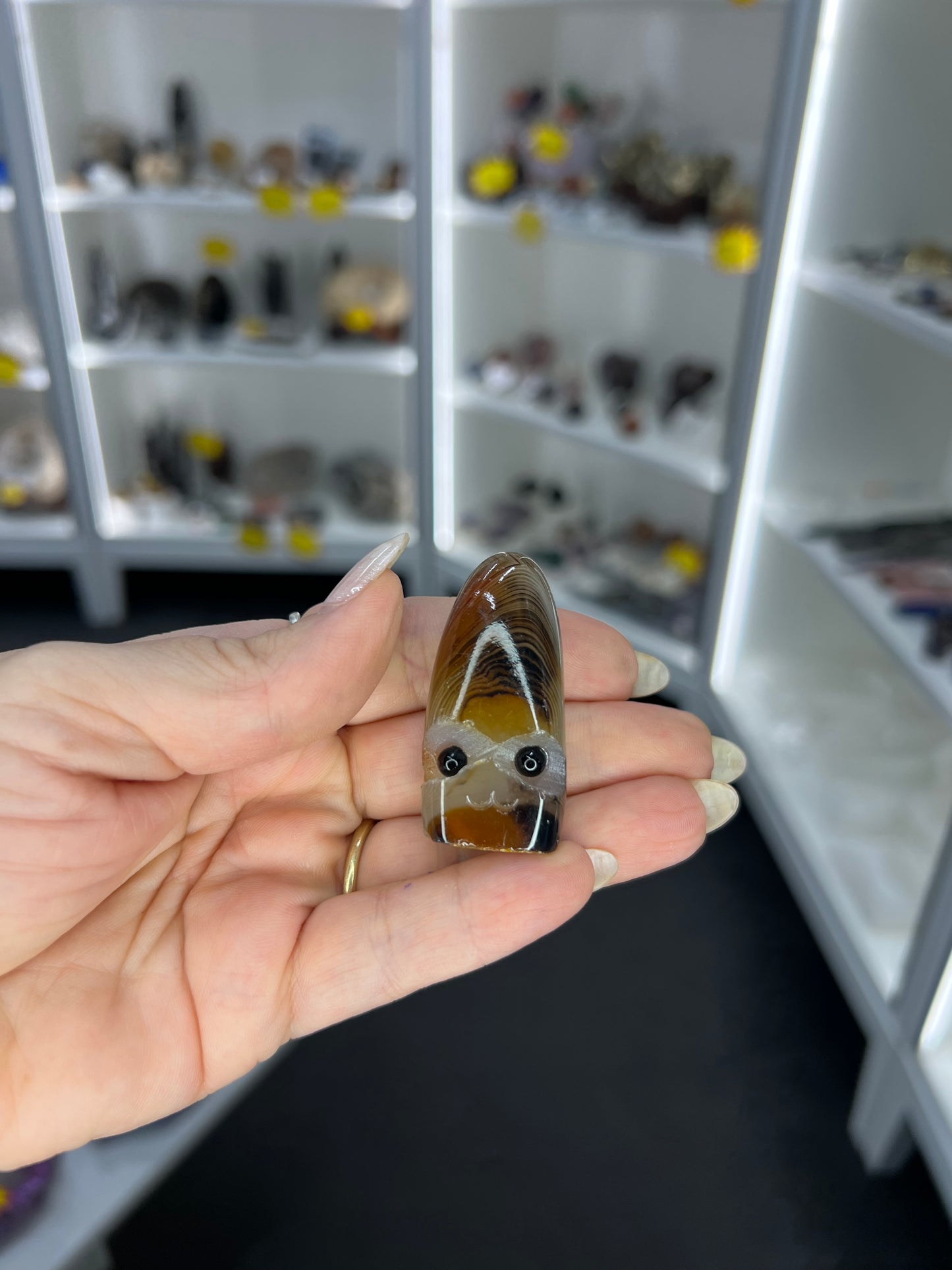 Sardonyx Little Guy
