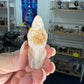 Flower Agate Dinosaur Head
