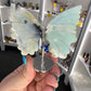 Caribbean Calcite Butterfly