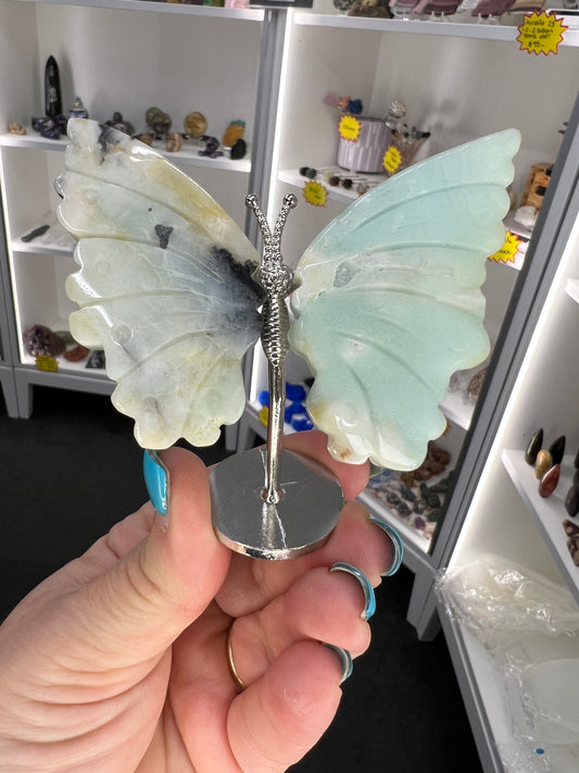 Caribbean Calcite Butterfly