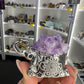 Amethyst Cluster on Silver Elephant
