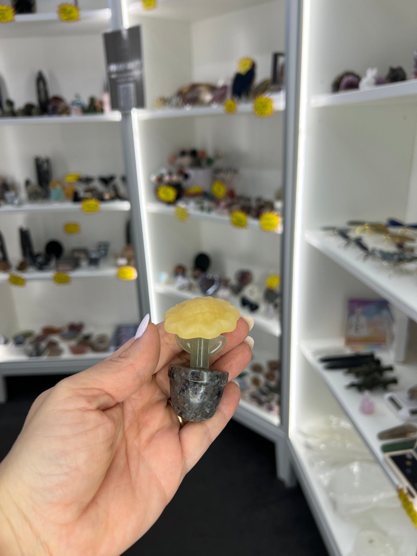 Yellow Calcite / Green Aventurine / Yooperlite Sunflower in Pot