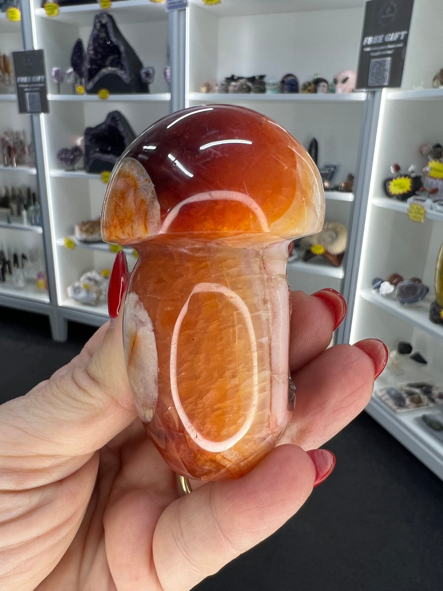 Carnelian Mushroom