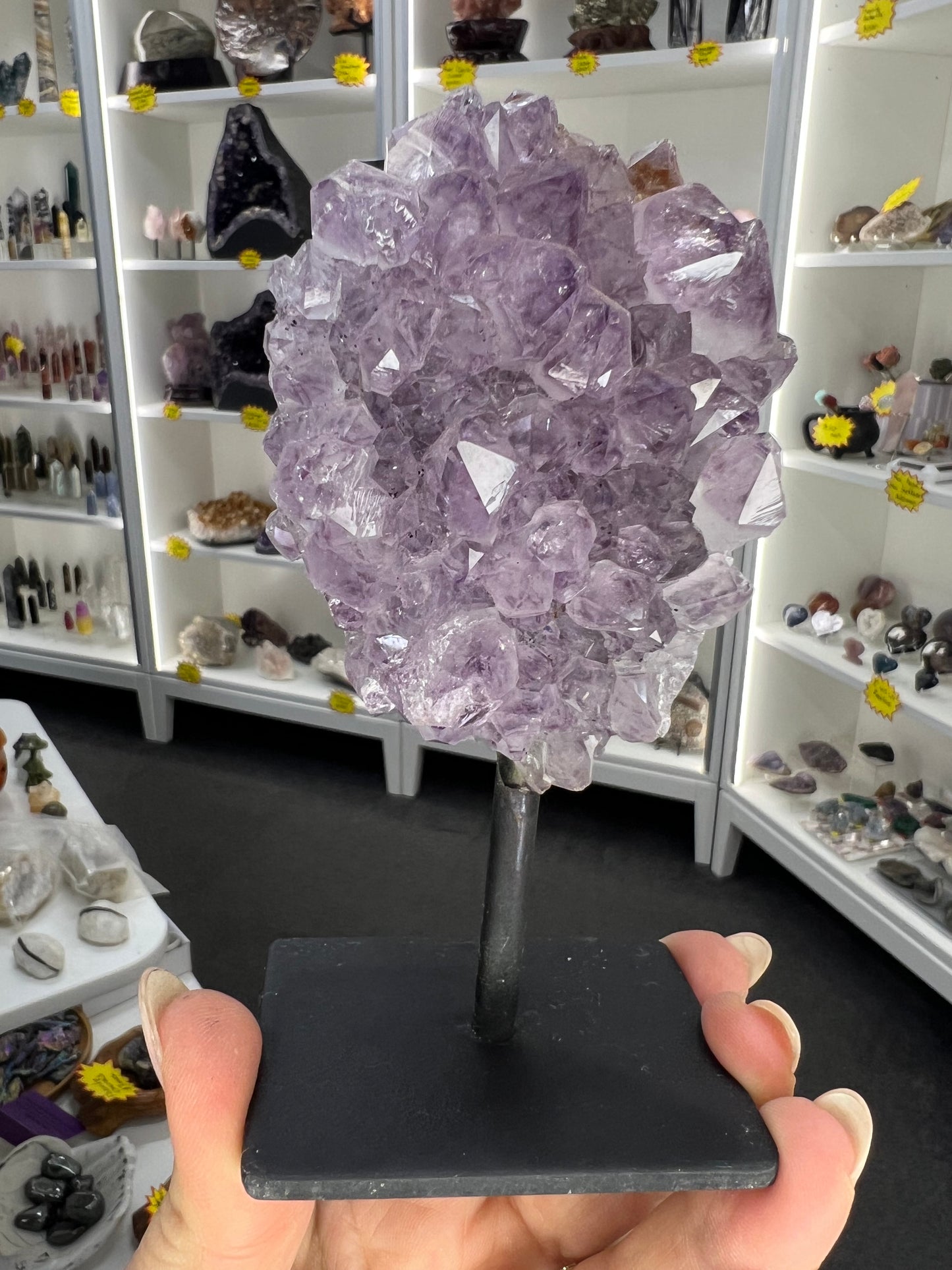 Amethyst Cluster Specimen on Stand