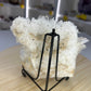 Clear Quartz Cluster on Stand