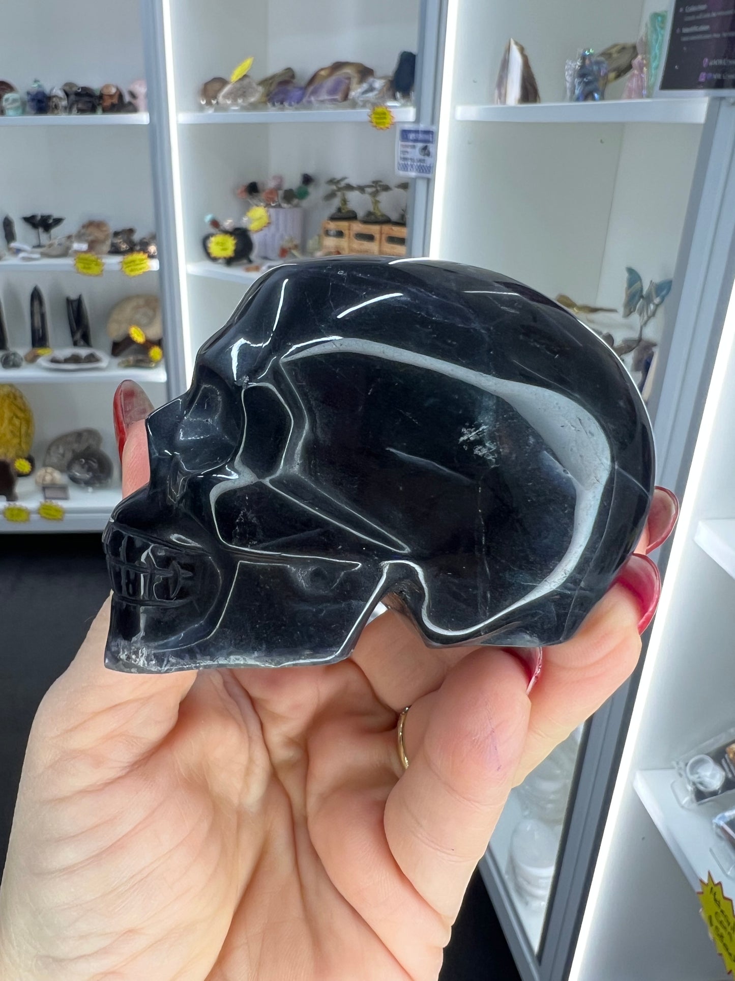 Black Fluorite Skull (UV Reactive)