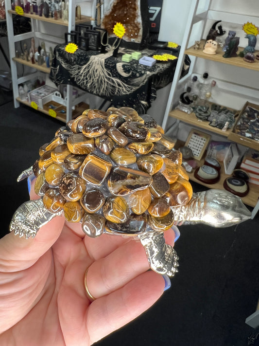 Tiger Eye Turtle
