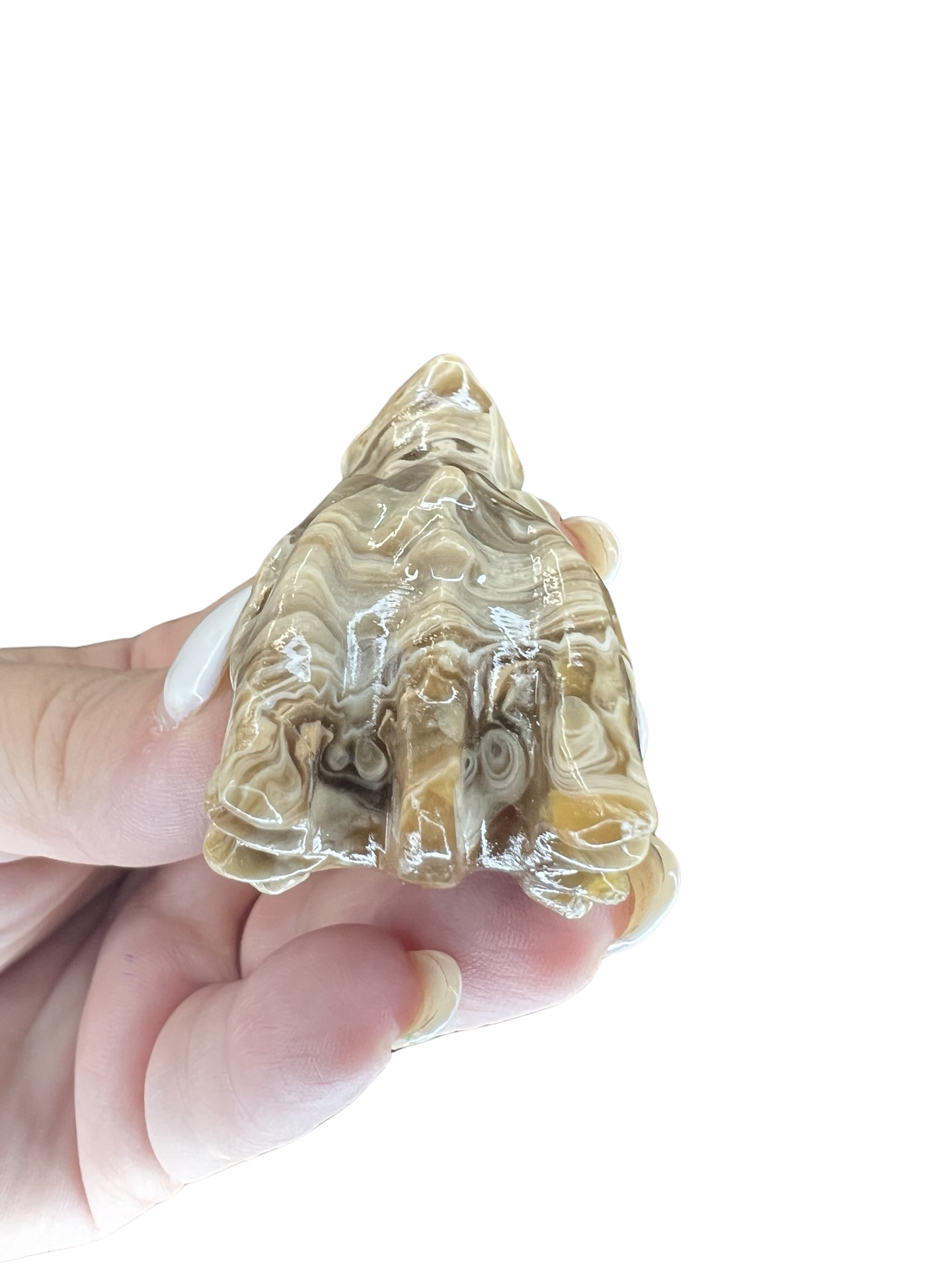 Chocolate Calcite Dragon Head