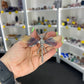 Fluorite Dragonfly