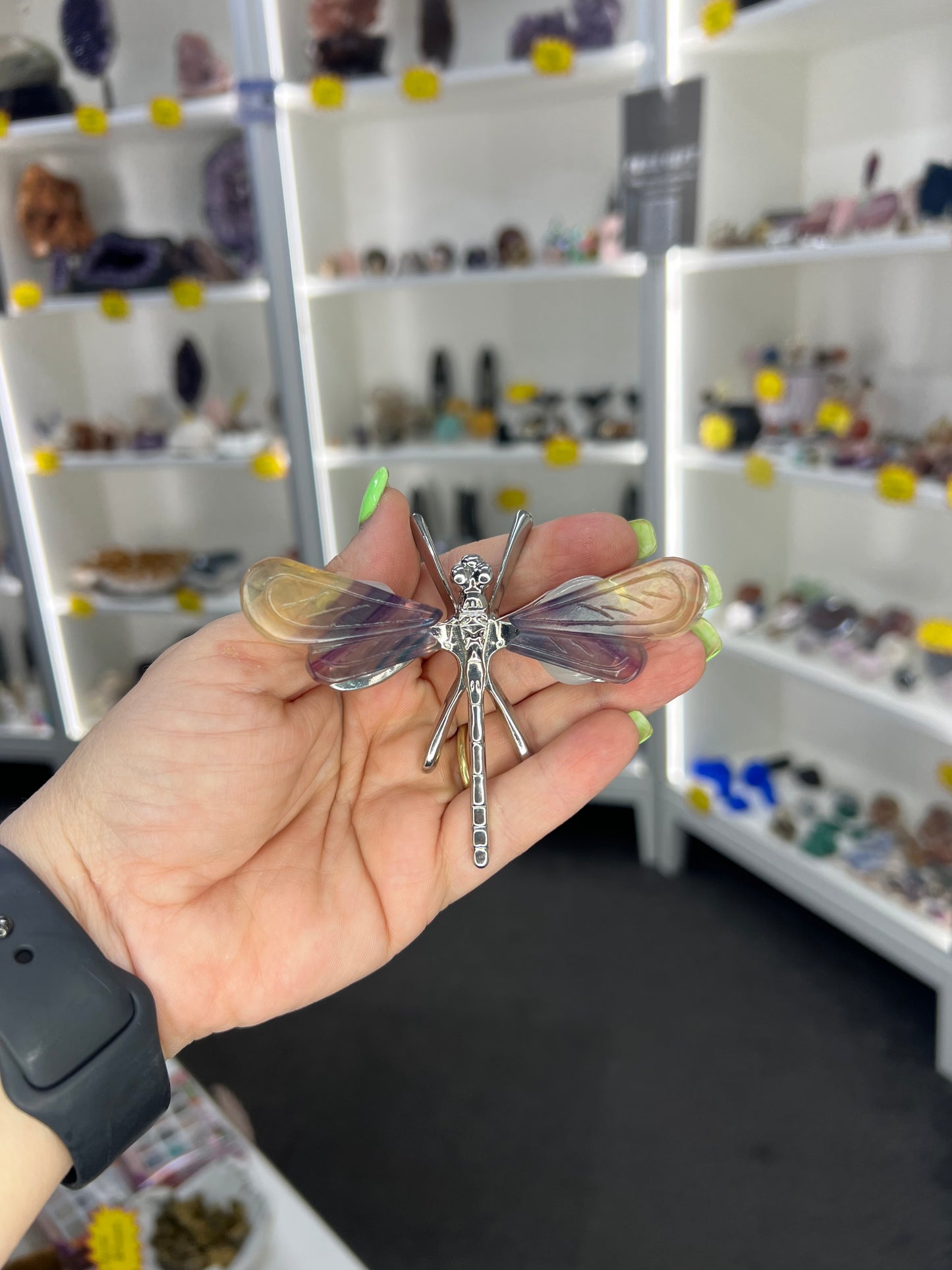 Fluorite Dragonfly