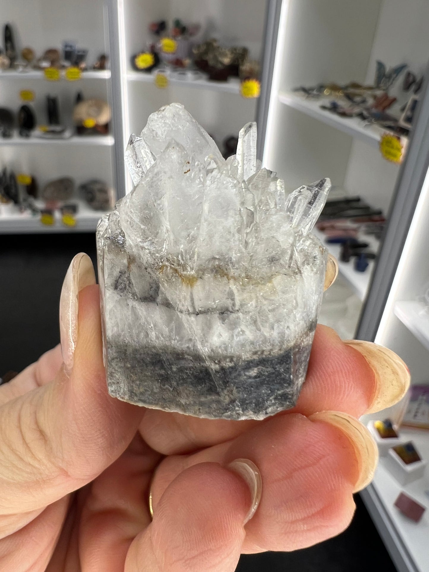 Clear Quartz Cluster Little Guy