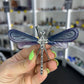 Fluorite Dragonfly