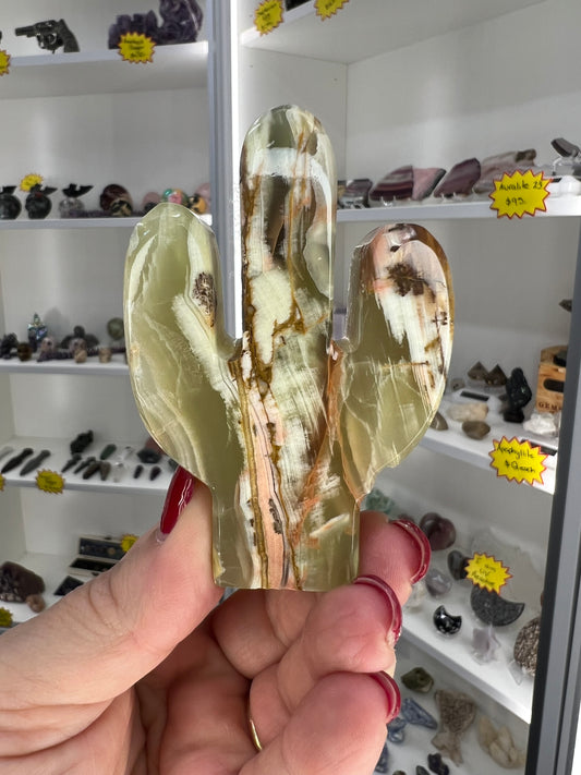 Onyx Cactus