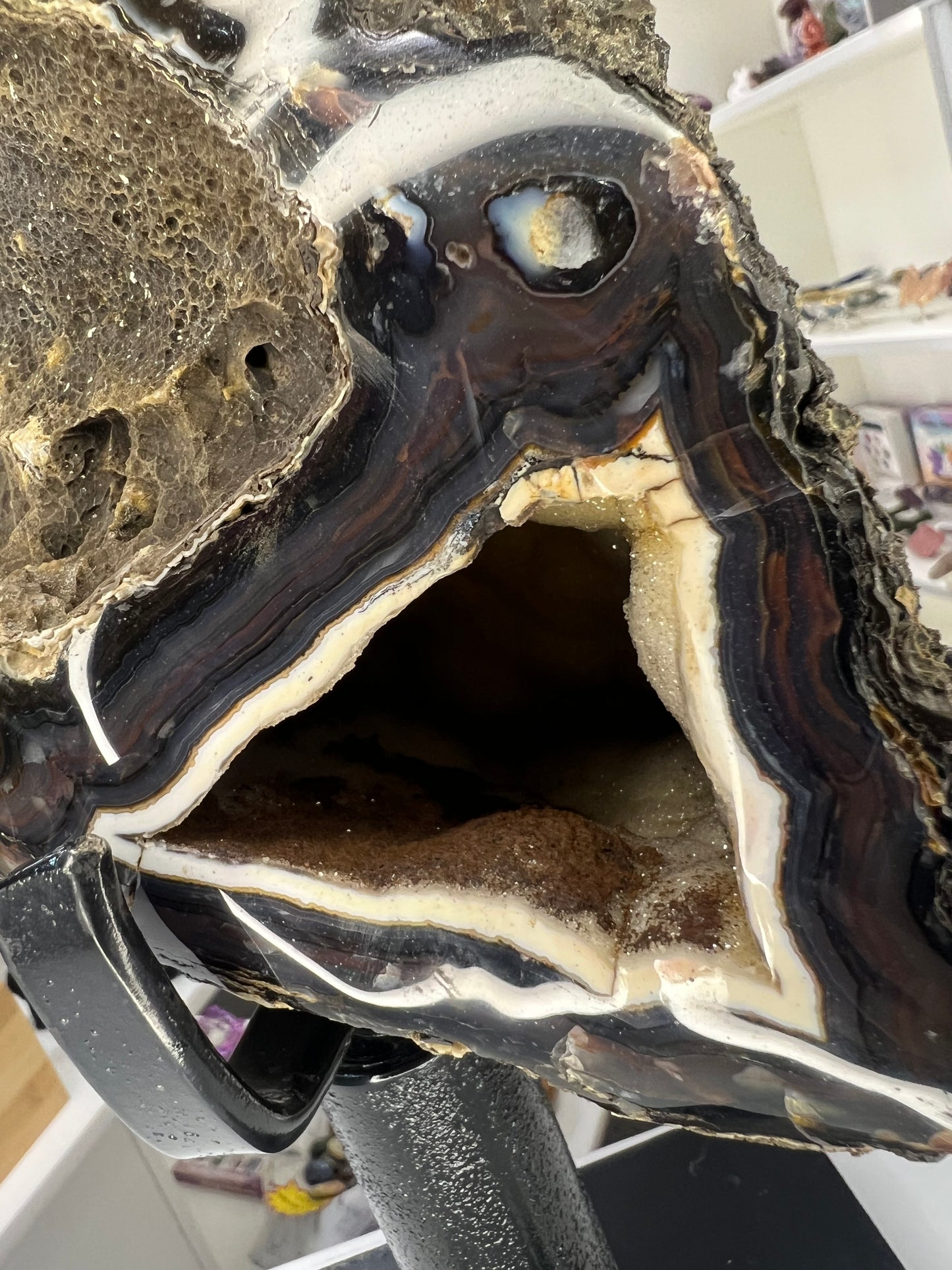 Super Rare Black Chalcedony on Metal Stand