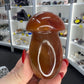 Carnelian Mushroom