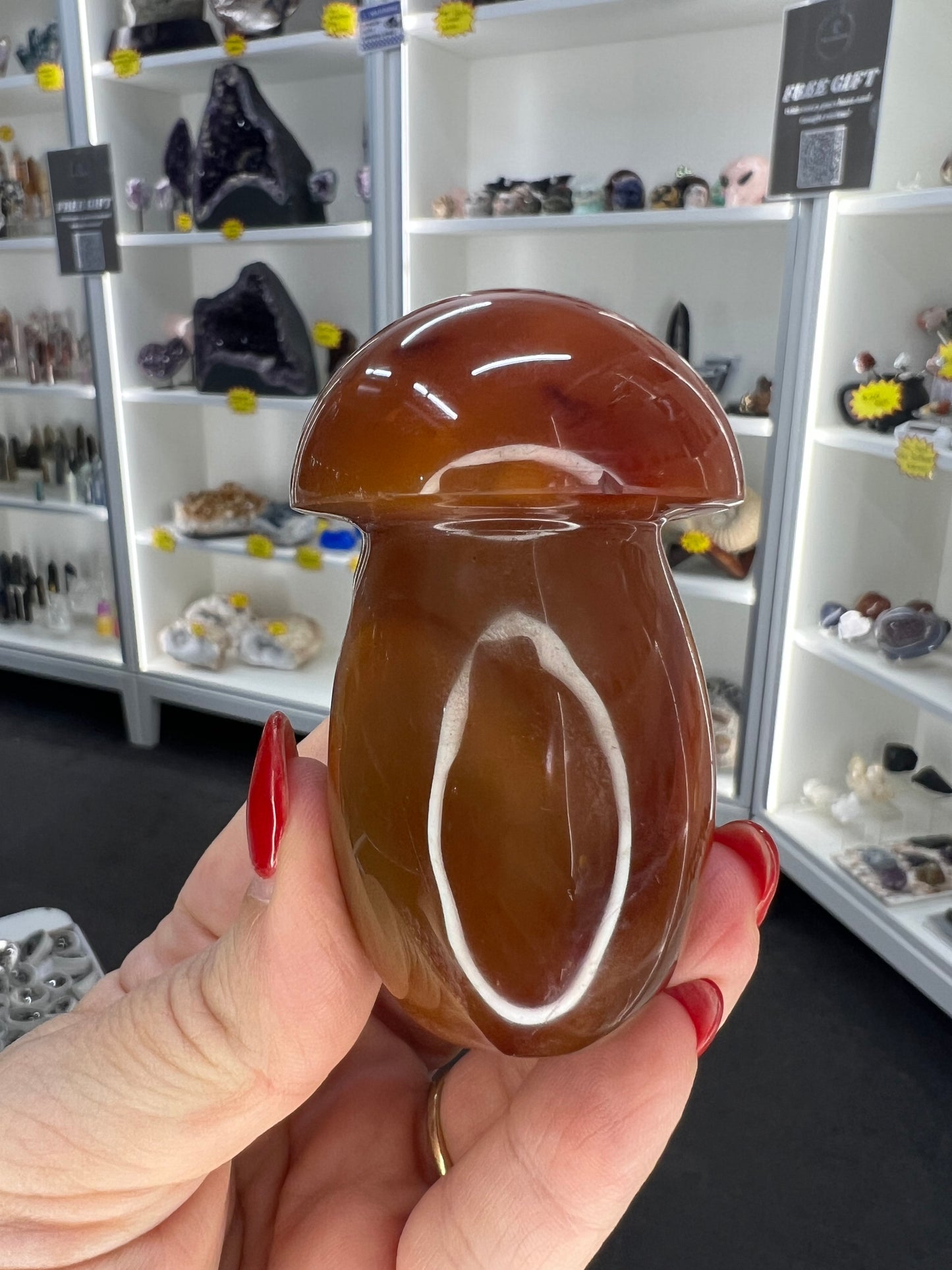 Carnelian Mushroom