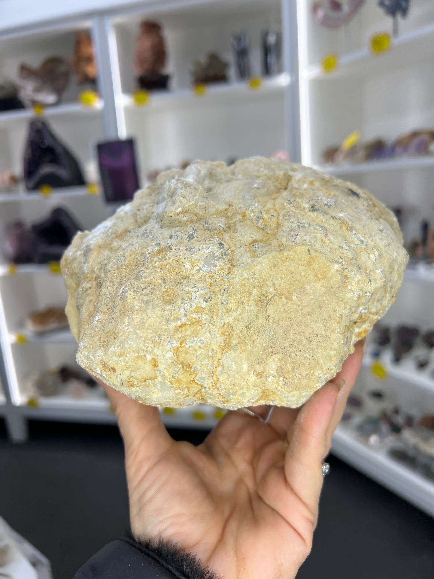 Quartz Geode Specimen