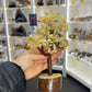 Citrine Tree