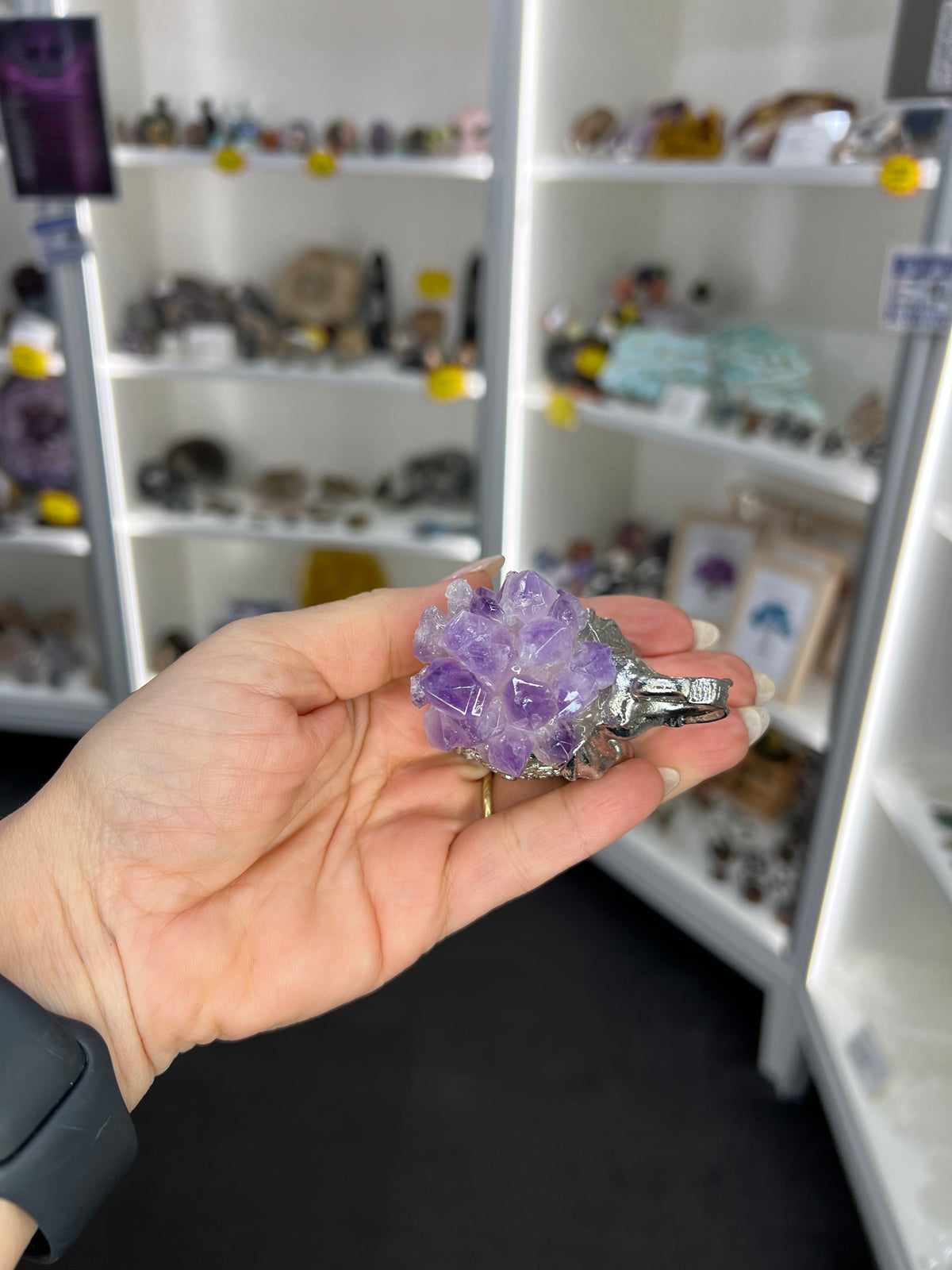 Amethyst Cluster on Silver Elephant