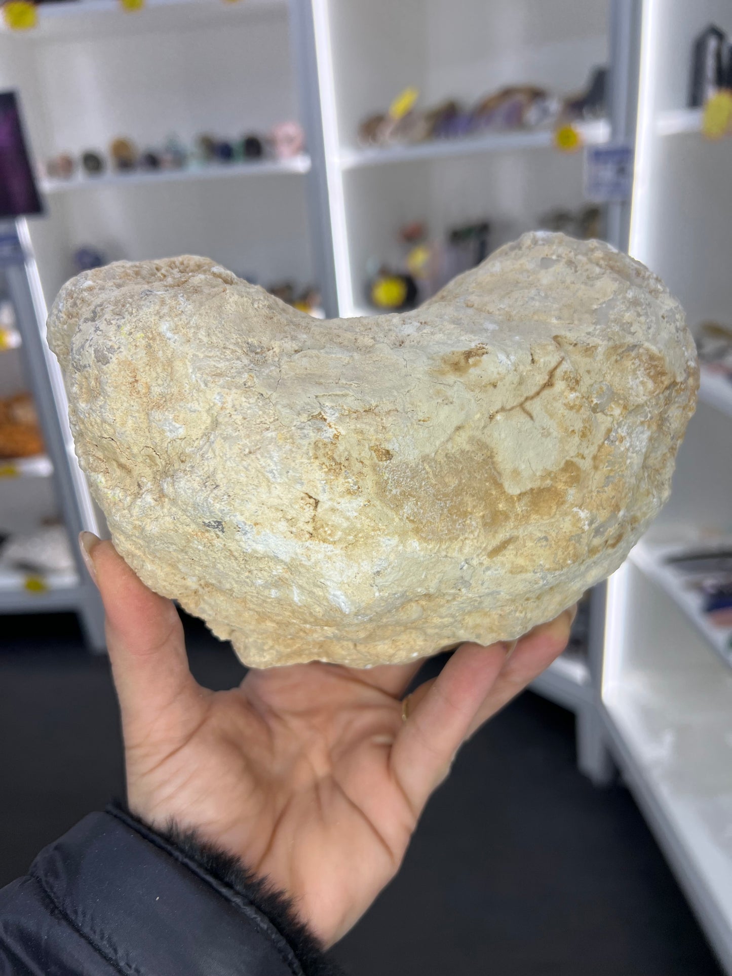 Quartz Geode Specimen