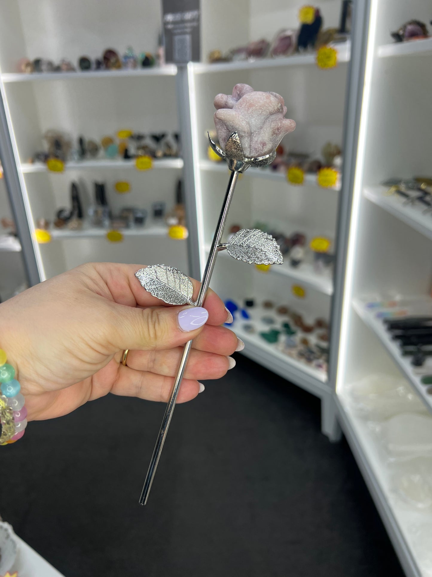 Pink Opal Forever Rose