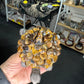 Tiger Eye Turtle