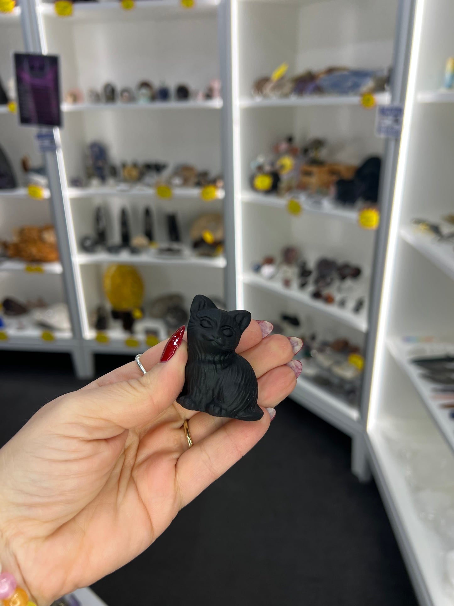 Black Obsidian Cat