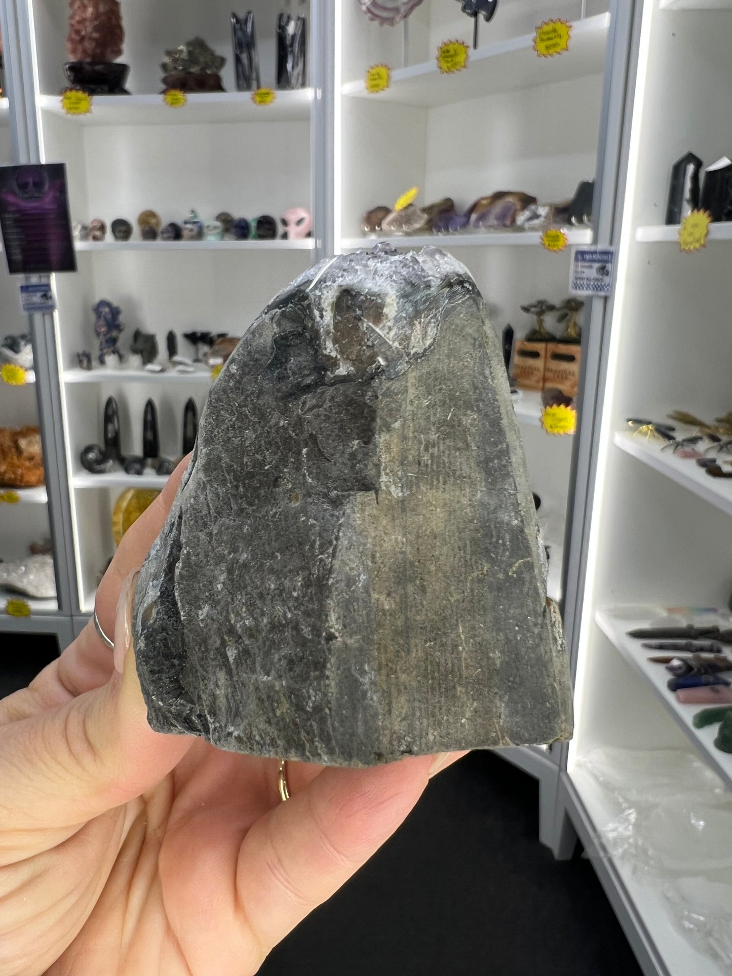 Amethyst Cluster Specimen