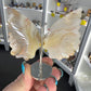 Flower Agate Butterfly