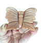 Cat’s Eye Butterfly Carving