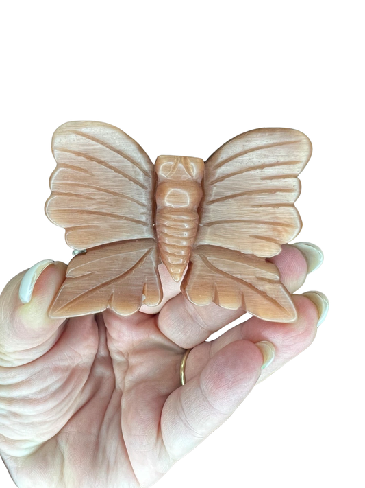 Cat’s Eye Butterfly Carving