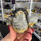 Picture Jasper Bat