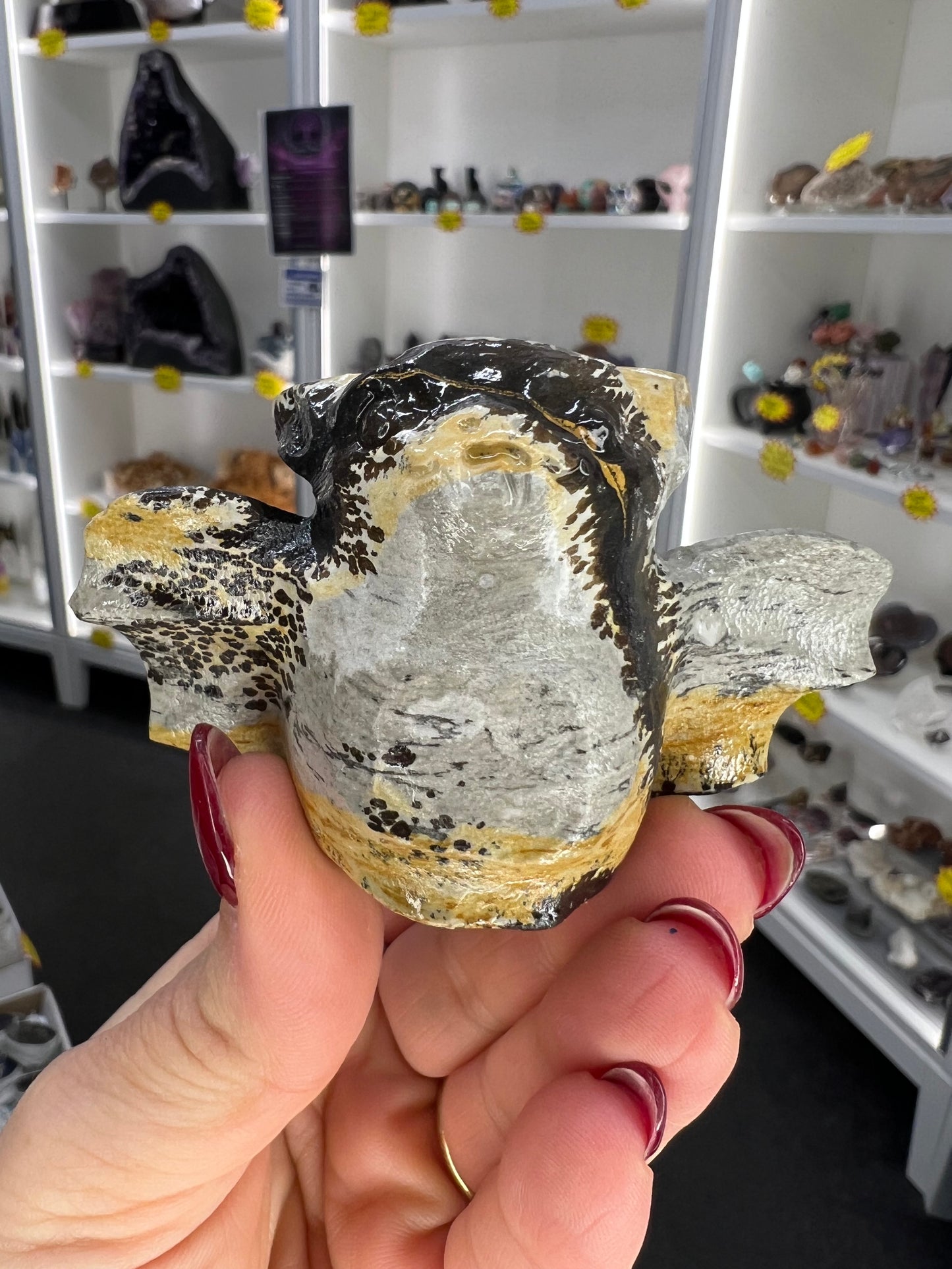 Picture Jasper Bat