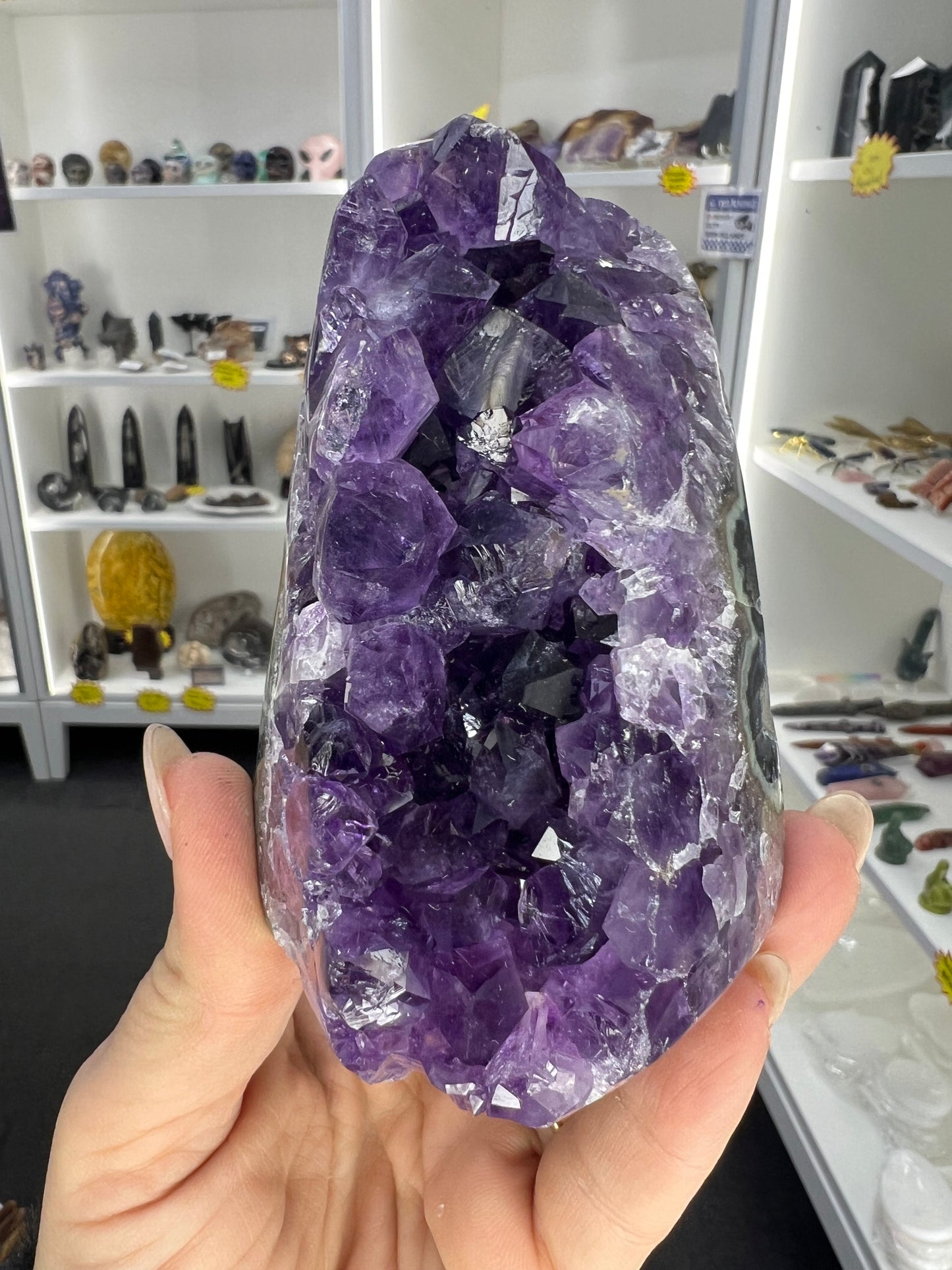 Amethyst Cluster Specimen