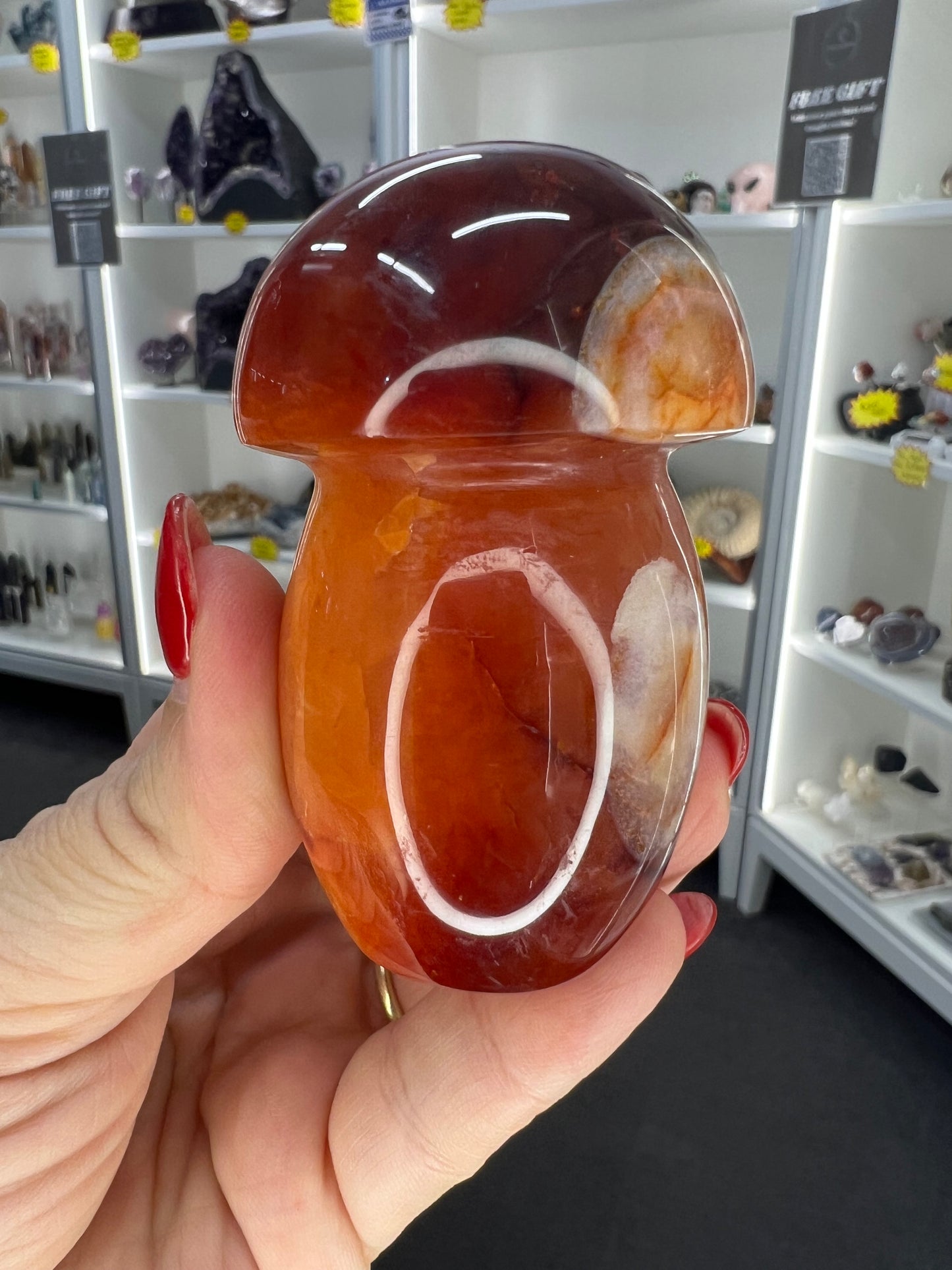 Carnelian Mushroom