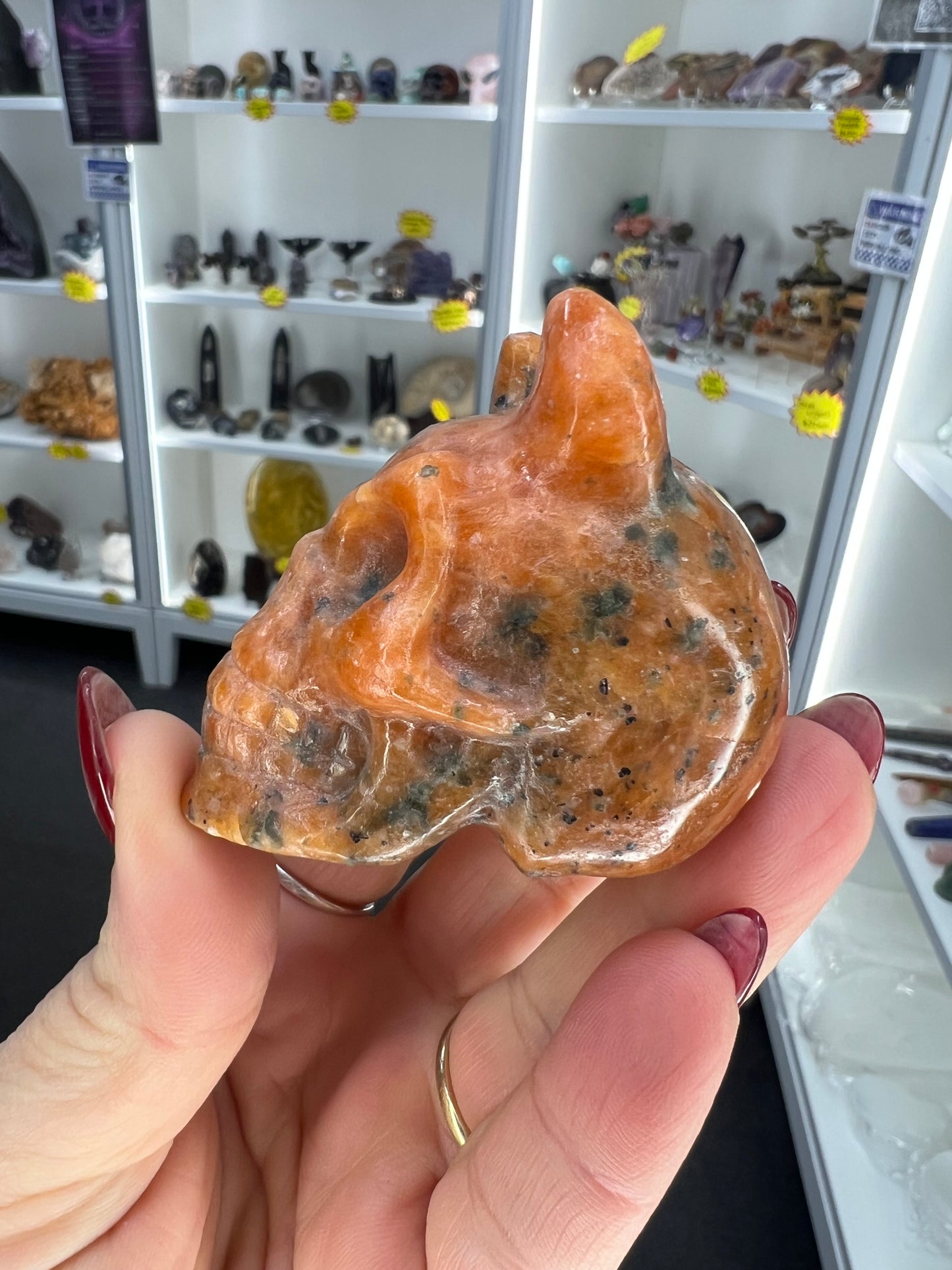 Sunstone Skull with Horns