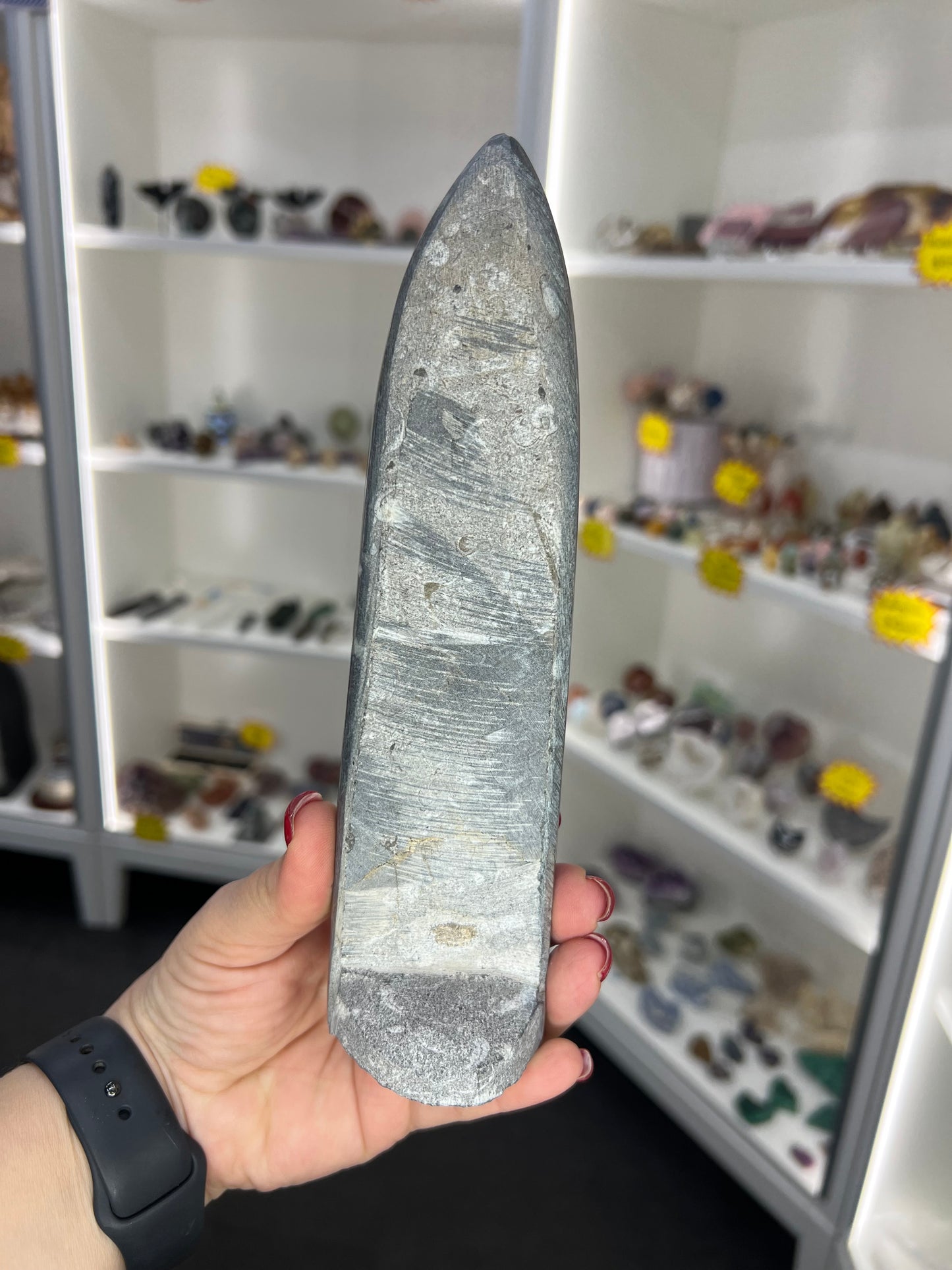 Orthoceras Totem