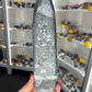 Orthoceras Totem