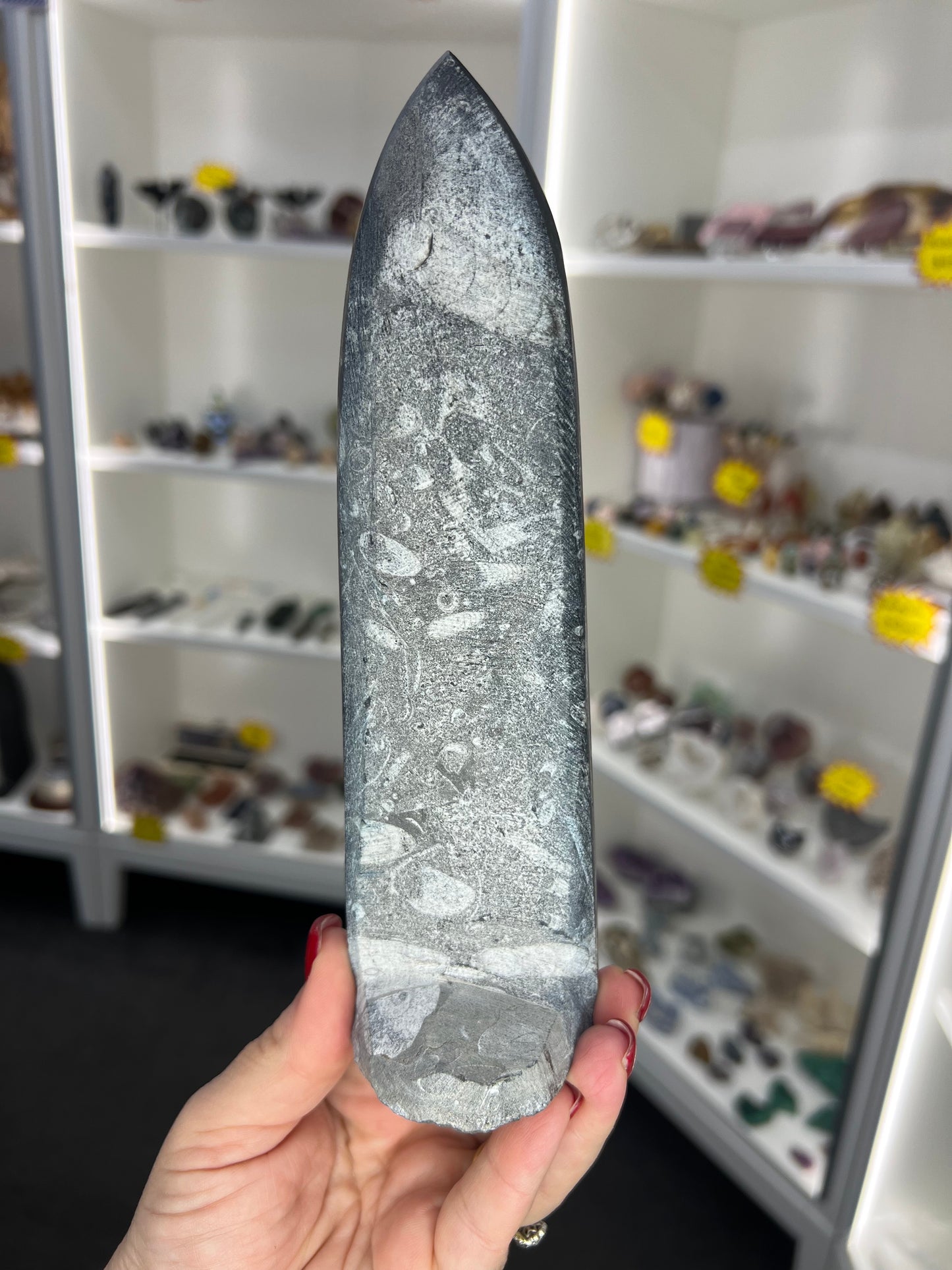 Orthoceras Totem