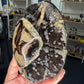Septarian Freeform