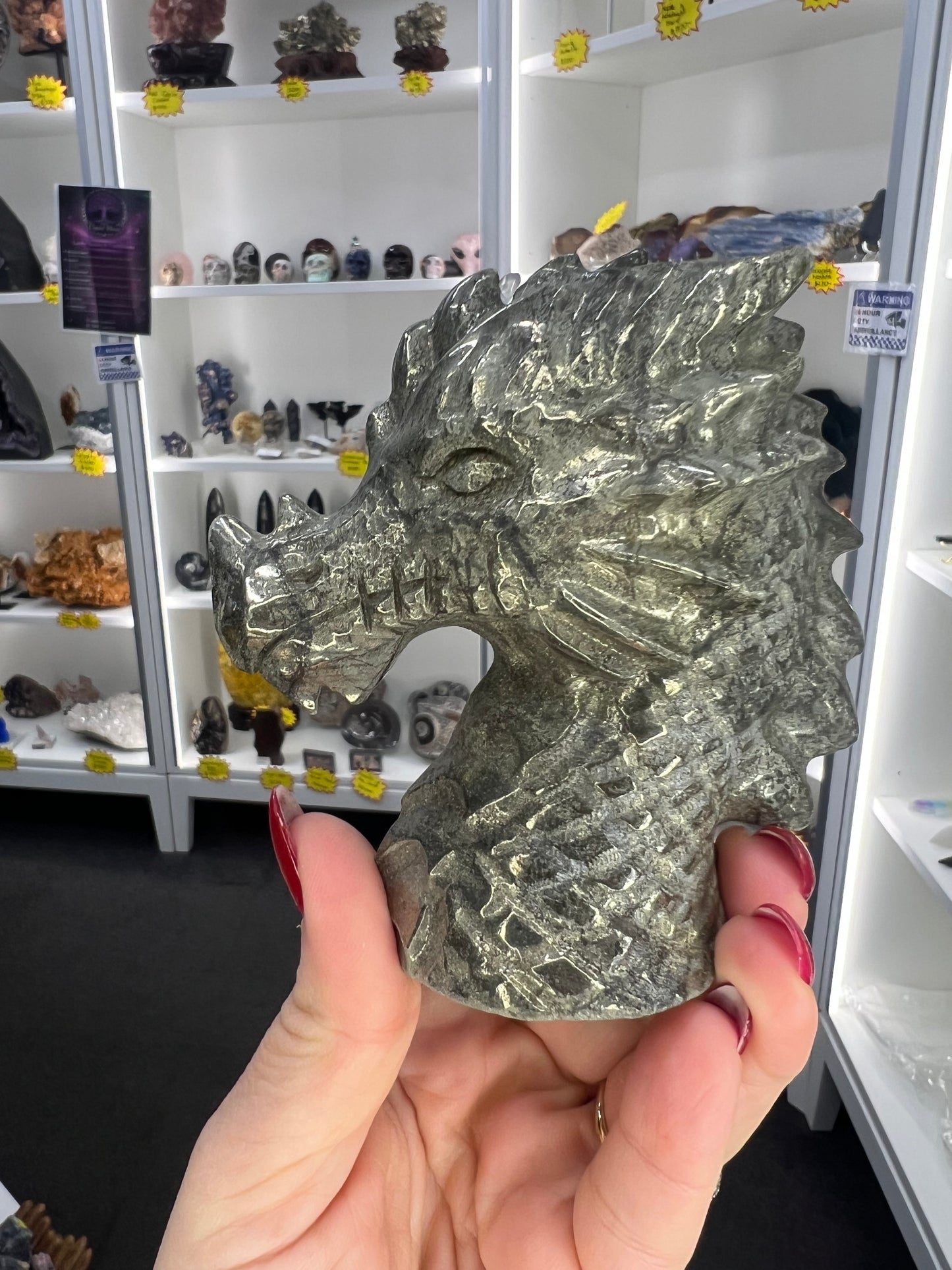 Pyrite Dragon Head