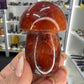 Carnelian Mushroom
