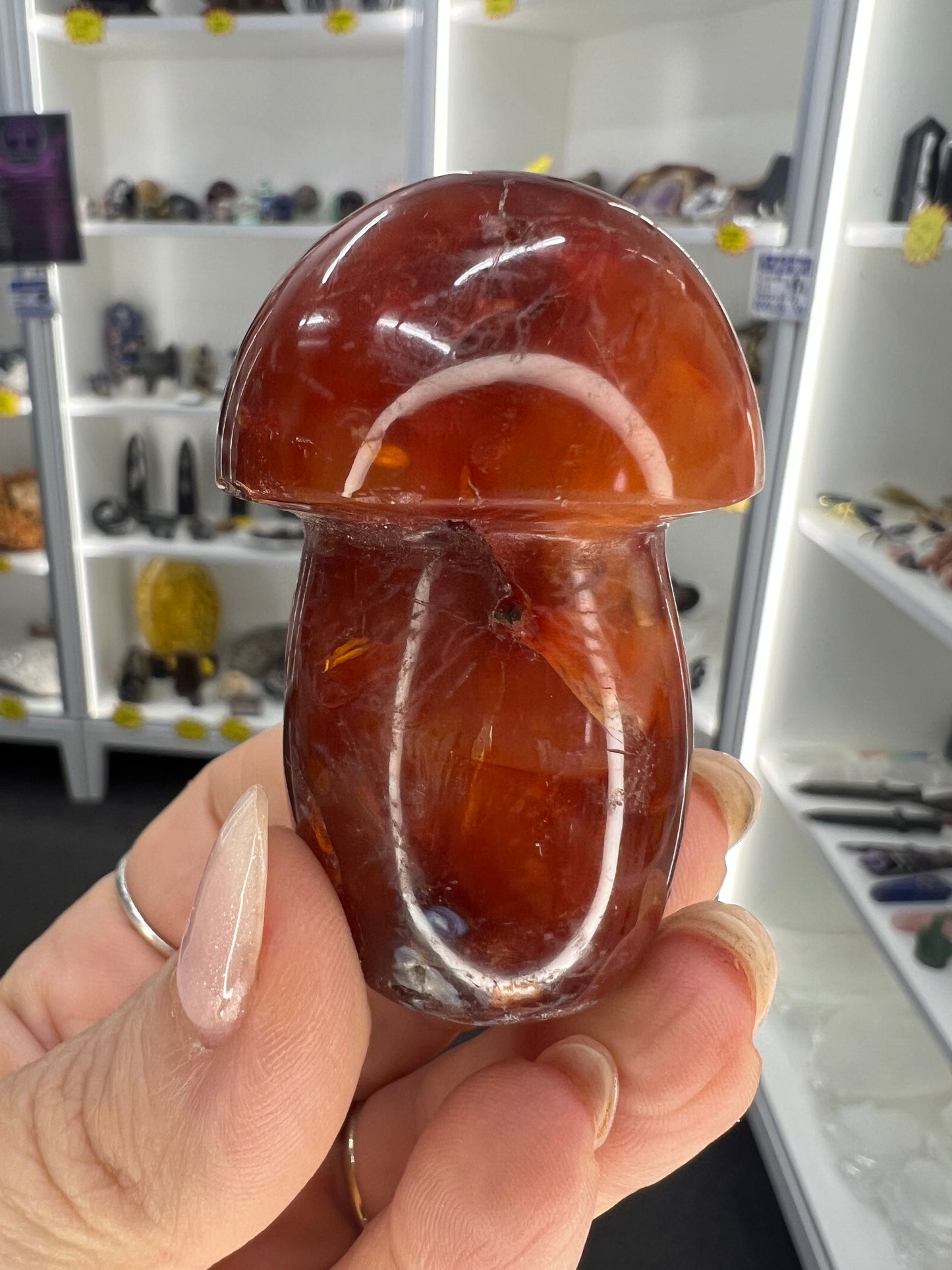 Carnelian Mushroom
